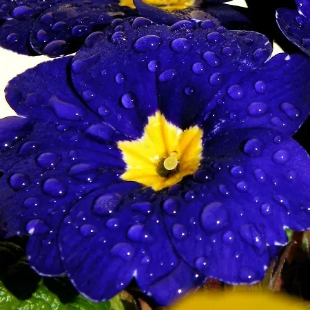 Casa Lena Сasa de vacaciones