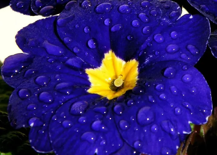 Casa Lena Dom wakacyjny